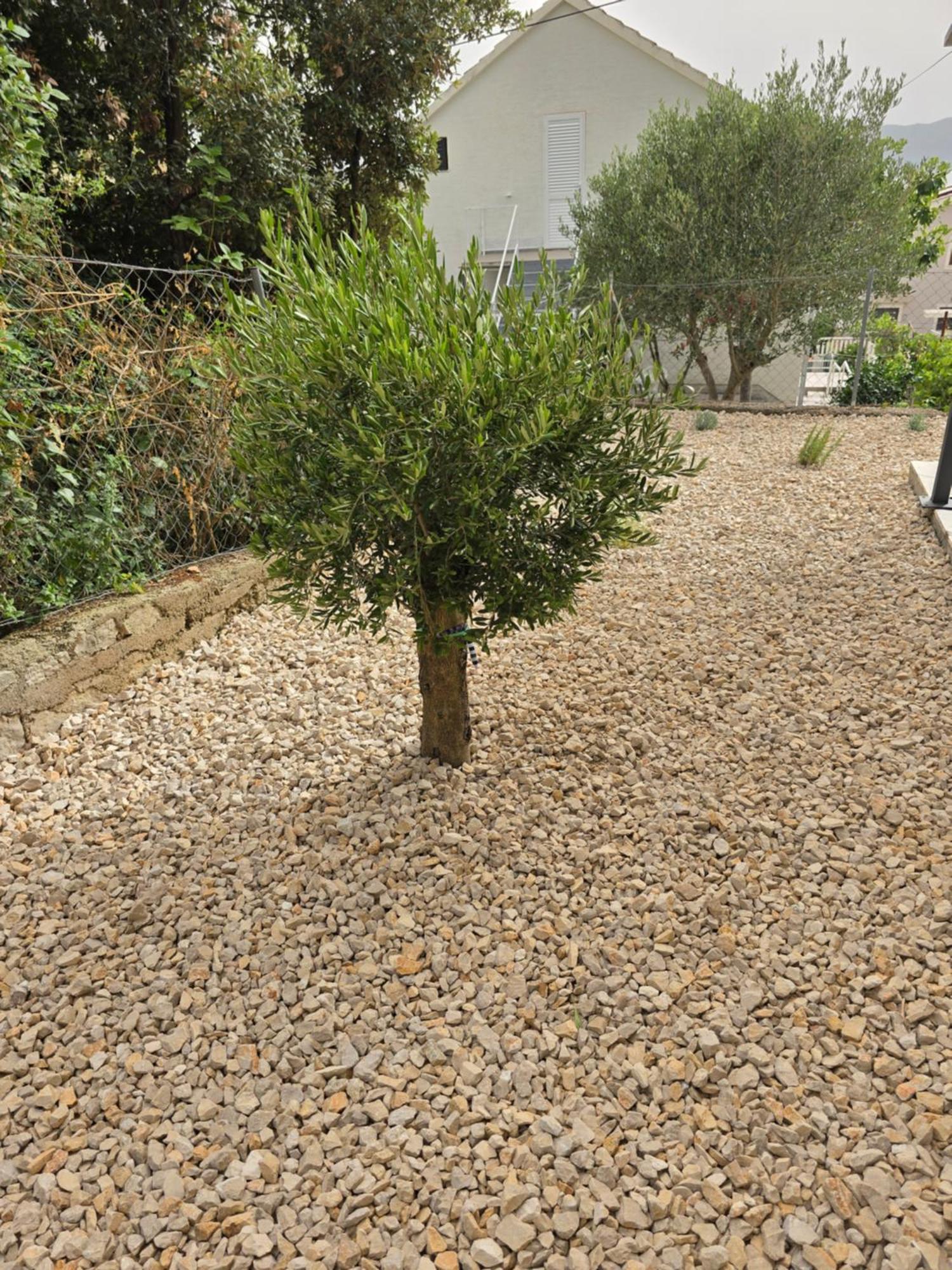 Villa More Sveti Petar Na Moru With Pool And Sea View מראה חיצוני תמונה